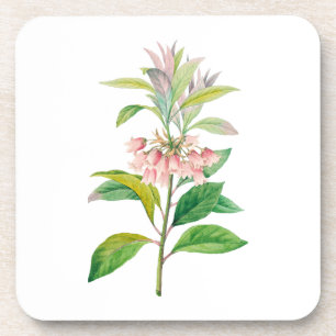 Dessous-de-verre Fleurs : A013 Redvein Enkianthus -