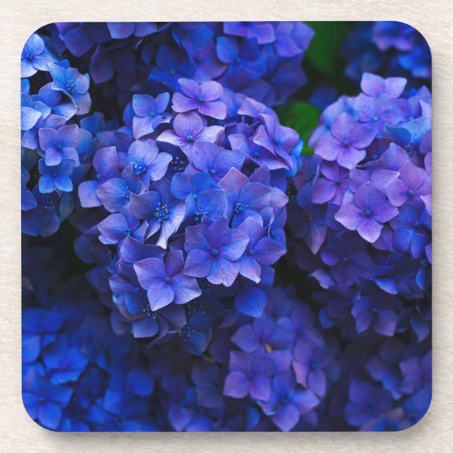 Dessous-de-verre fleurs bleues (Devant)