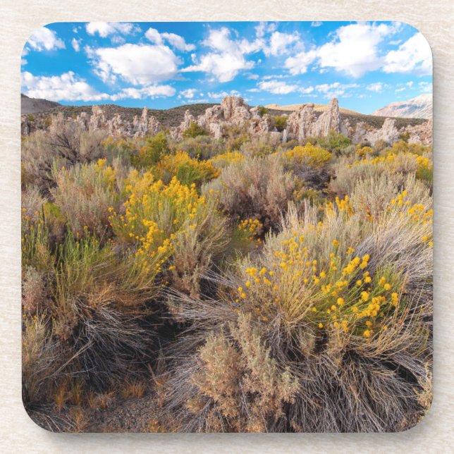 Dessous-de-verre Fleurs | Blooming Sagebrush Californie (Devant)
