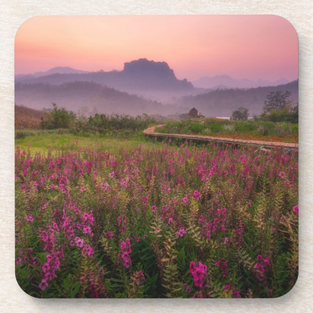 Dessous-de-verre Fleurs | Chiang Dao, Chiang Mai, Thaïlande (Devant)