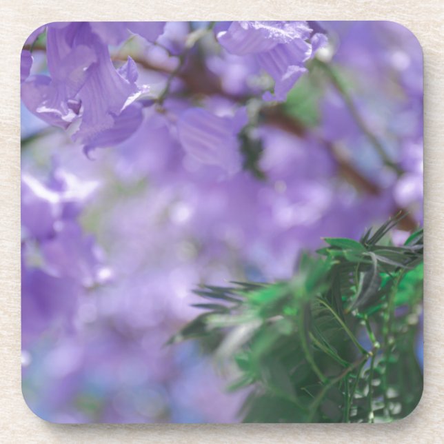 Dessous-de-verre Fleurs d'arbre pourpres Jacaranda (Devant)