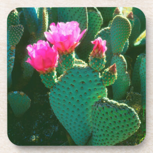 Dessous-de-verre Fleurs de Cactus Beavertail