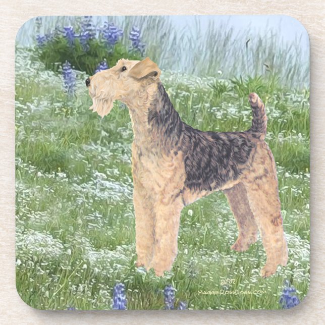 Dessous-de-verre Fleurs de campagne (Devant)