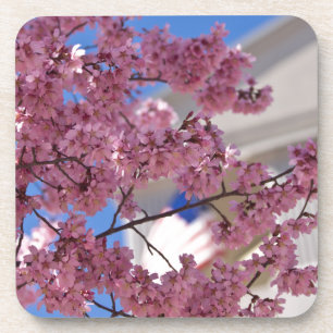 Dessous-de-verre Fleurs de cerisier Sakura Americana