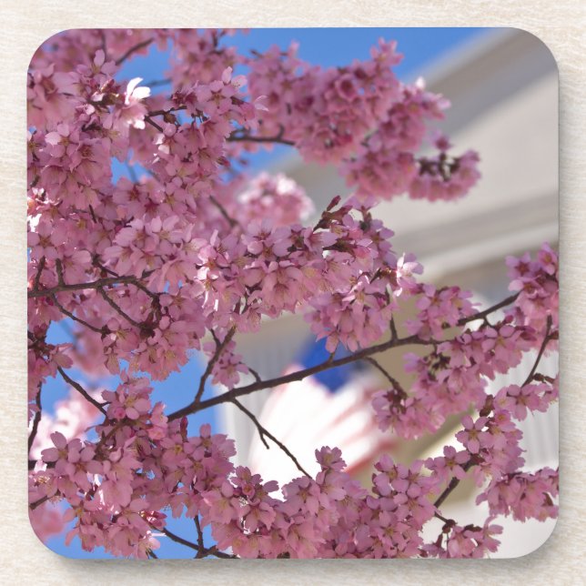 Dessous-de-verre Fleurs de cerisier Sakura Americana (Devant)
