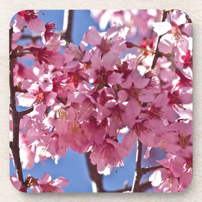 Dessous-de-verre Fleurs de cerisier Sakura Étoiles rouges (Devant)