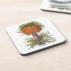 Dessous-de-verre Fleurs de Fritillaires Orange Vintage Basilius Bes