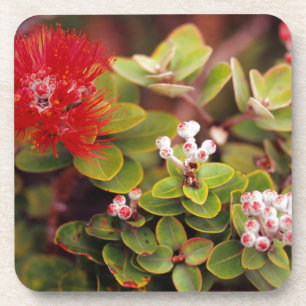 Dessous-de-verre Fleurs de Lehua à Hawaï Volcans