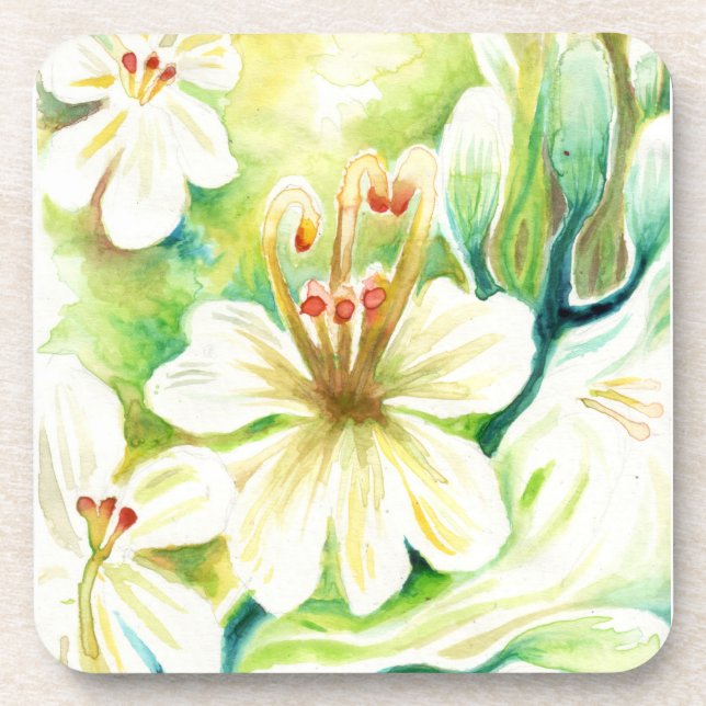 Dessous-de-verre Fleurs de Moringa (Devant)