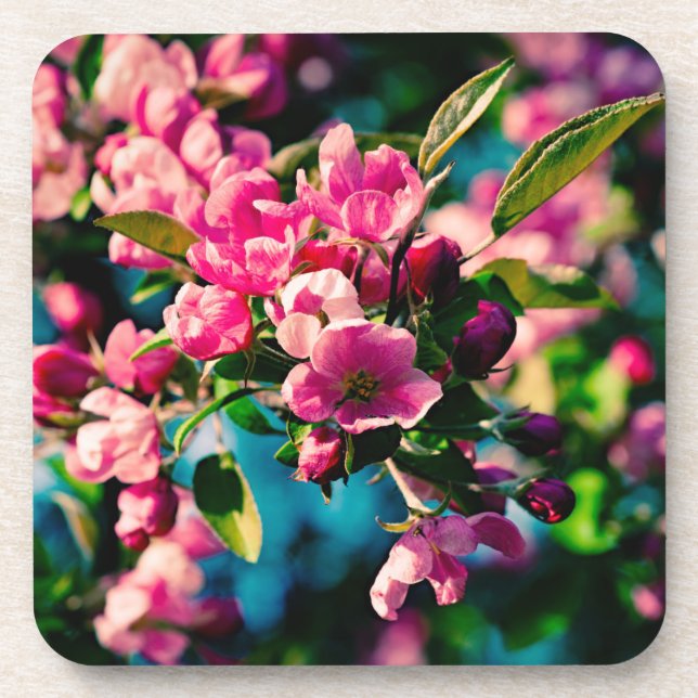 Dessous-de-verre Fleurs de pomme de crabe rose (Devant)