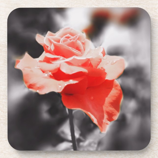 Dessous-de-verre Fleurs de rose vintage #2 (Devant)