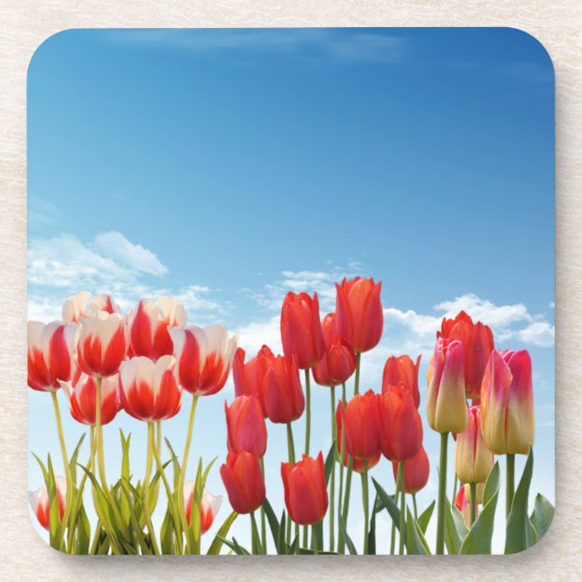 Dessous-de-verre Fleurs de tulipe rouge-30247 (Devant)