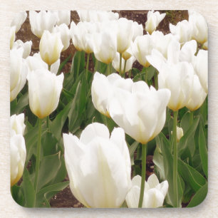 Dessous-de-verre Fleurs de tulipes blanches