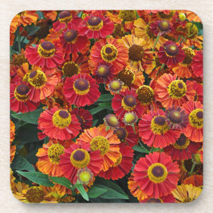 Dessous-de-verre Fleurs d'hélium rouge et orange