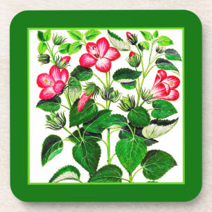 Dessous-de-verre Fleurs d'Hibiscus italien rose Fuchsia