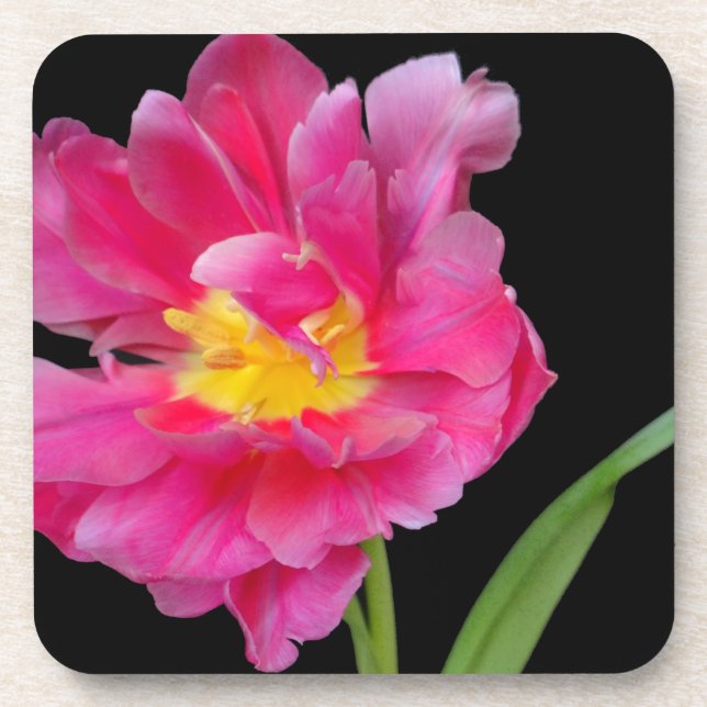 Dessous-de-verre Fleurs Fleuris Fête de Naissance Félicitations Amo (Devant)
