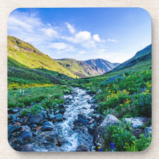 Dessous-de-verre Fleurs | Fleurs sauvages en Colorado (Devant)