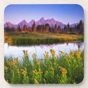 Dessous-de-verre Fleurs   Grand Teton National Park, Wyoming