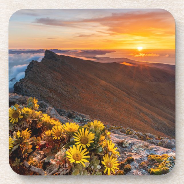Dessous-de-verre Fleurs | Îles Canaries, Espagne (Devant)