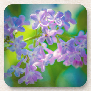 Dessous-de-verre Fleurs Lilac Violettes