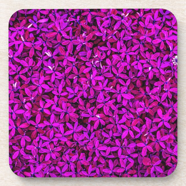 Dessous-de-verre fleurs mauves-23209 (Devant)