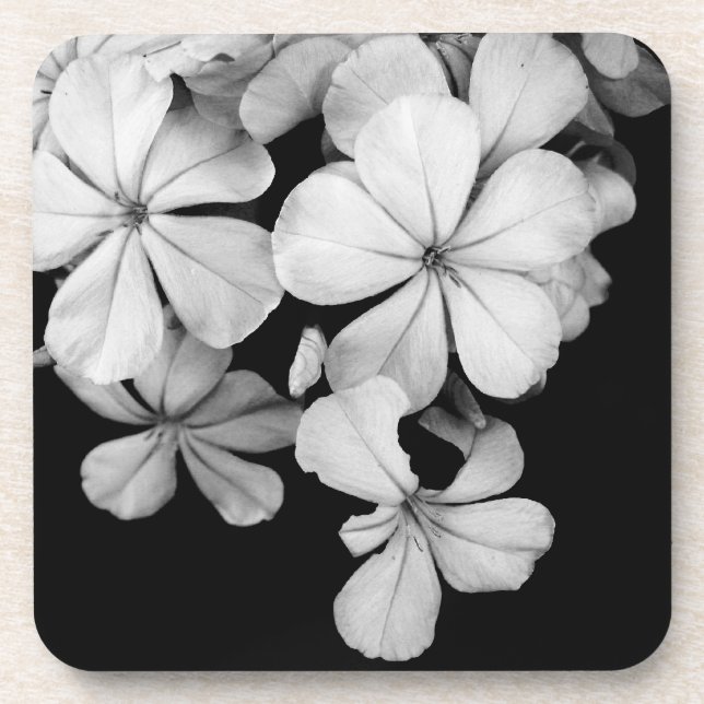 Dessous-de-verre Fleurs noires et blanches en gros plan (Devant)
