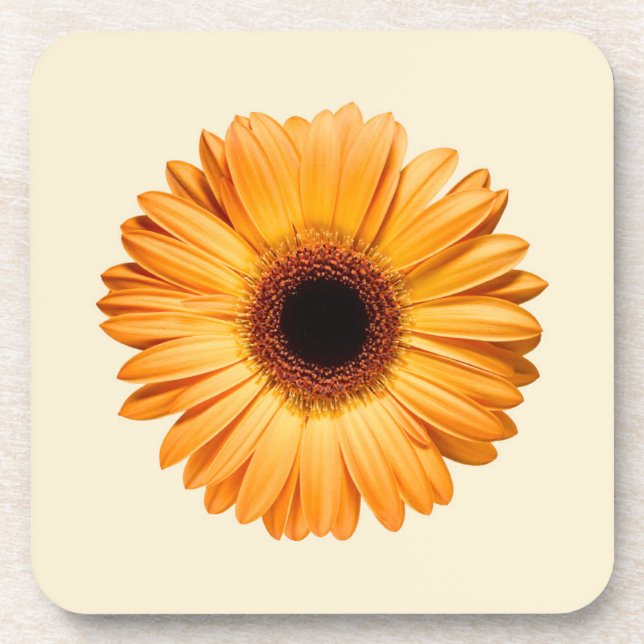 Dessous-de-verre Fleurs | Orange Gerbera (Devant)