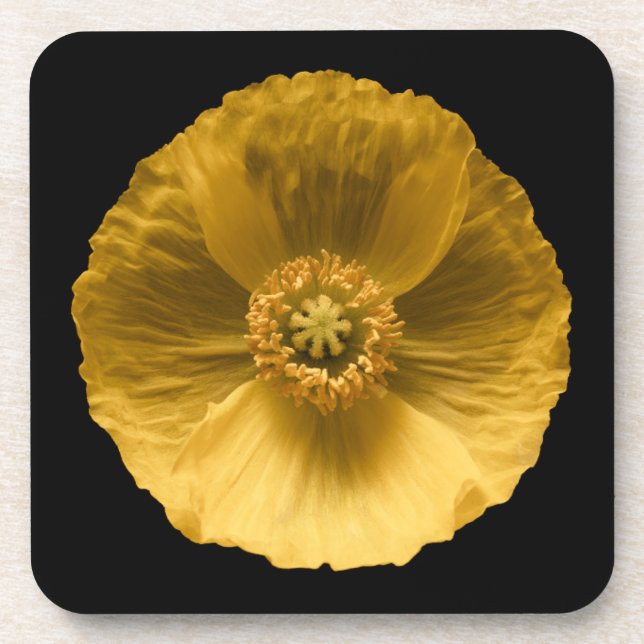 Dessous-de-verre Fleurs | Pavot jaune (Devant)