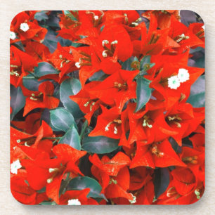 Dessous-de-verre Fleurs rouges vibrantes de bouganvillée