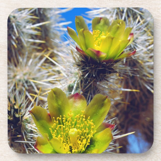 Dessous-de-verre Fleurs sauvages de Cactus Cholla Argenté (Devant)