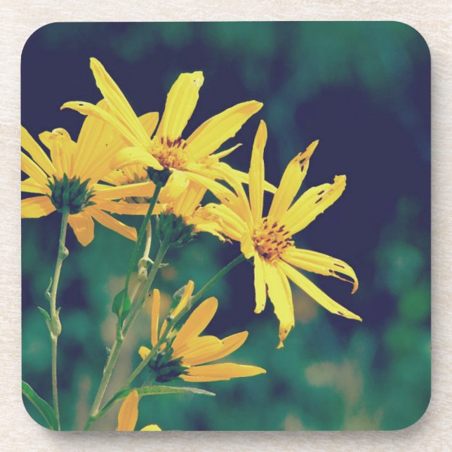 Dessous-de-verre Fleurs sauvages d'été (Devant)
