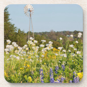 Dessous-de-verre Fleurs sauvages et moulin à vent dans Texas Hill C