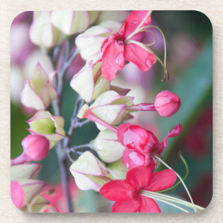 Dessous-de-verre Fleurs tropicales roses et blanches rouges