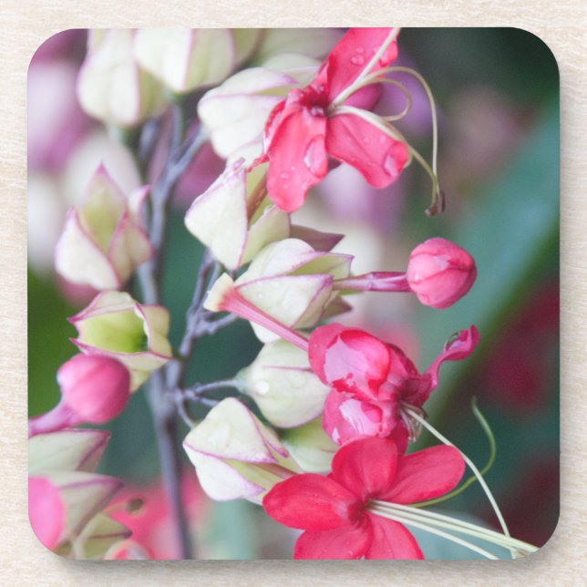 Dessous-de-verre Fleurs tropicales roses et blanches rouges (Devant)