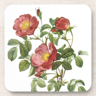 Dessous-de-verre Fleurs Vintage Floral Rose Rouge de l'Amour par Re