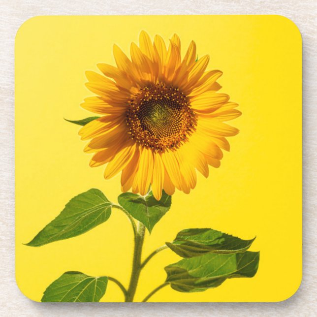 Dessous-de-verre Flowers | Sunflower on Yellow (Devant)