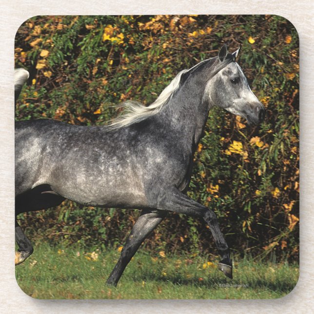 Dessous-de-verre Fonctionnement d'Arabes : Automne (Devant)