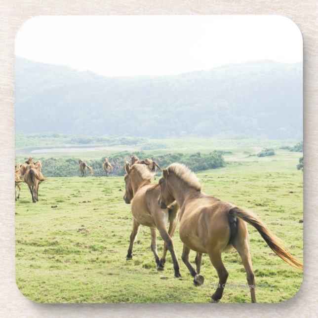 Dessous-de-verre Fonctionnement de chevaux (Devant)