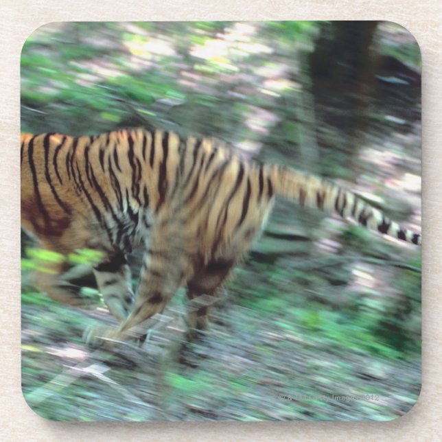 Dessous-de-verre Fonctionnement de tigre (Devant)