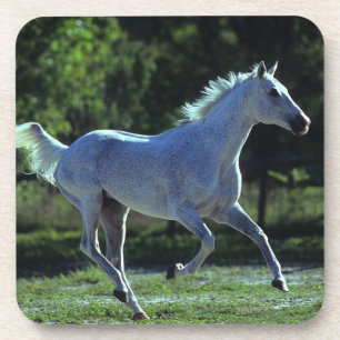 Dessous-de-verre Fonctionnement d'étalon de pur sang