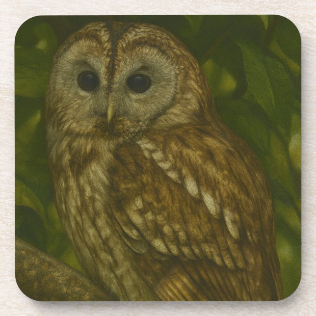 Dessous-de-verre Forest Sentinel - Tawny Owl Wildlife Art (Devant)