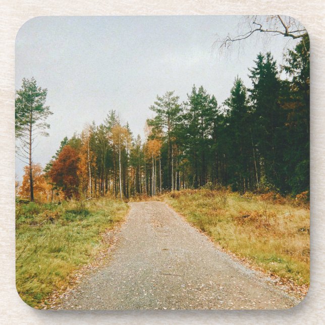 Dessous-de-verre Forêt automnale suédoise (Devant)