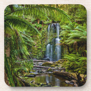 Dessous-de-verre Forêt Beauchamp Falls Australie
