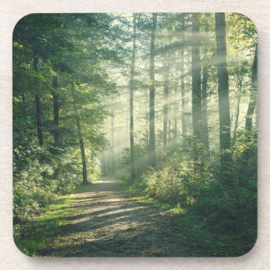 Dessous-de-verre Forêt   Chemin forestier Hambourg Allemagne