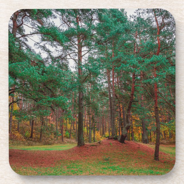 Dessous-de-verre Forêt d'automne (Devant)