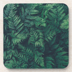 Dessous-de-verre Forêt Fermes des bois