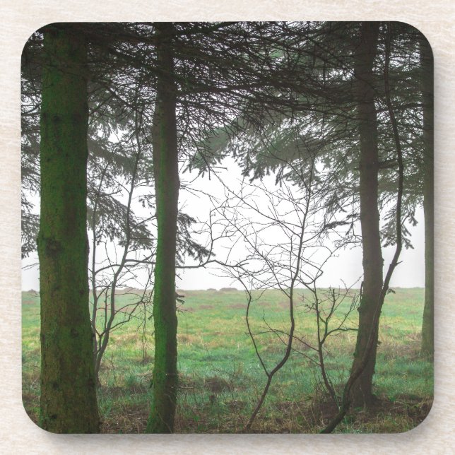 Dessous-de-verre Forêt surplombant la clairière dans le brouillard (Devant)