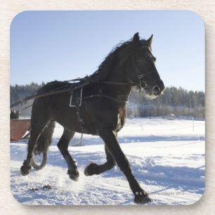 Dessous-de-verre Formation des chevaux dans un paysage hivernal,