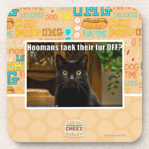 Dessous-de-verre Fourrure de Hoomans Taek là ?