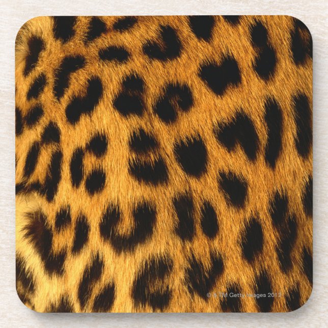 Dessous-de-verre Fourrure de Jaguar (Devant)